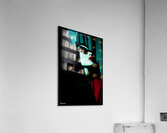 FA 25 2x3 809 Acrylic Print