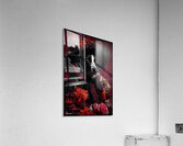 FA 25 2x3 810 Acrylic Print