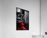 FA 25 2x3 787 Acrylic Print