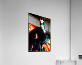 FA 25 2x3 792 Acrylic Print