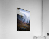 FA 25 2x3 812 Acrylic Print