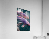 FA 25 2x3 837 Acrylic Print