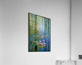 FA 25 2x3 801 Acrylic Print