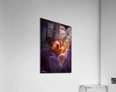 FA 25 2x3 828 Acrylic Print