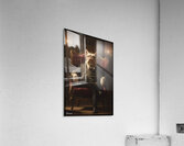 FA 25 2x3 796 Acrylic Print