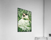 FA 25 2x3 849 Acrylic Print