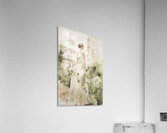 FA 25 2x3 893 Acrylic Print