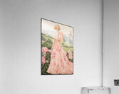FA 25 2x3 847 Acrylic Print