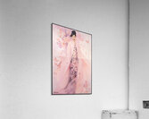 FA 25 2x3 842 Acrylic Print