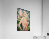 FA 25 2x3 868 Acrylic Print