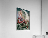 FA 25 2x3 912 Acrylic Print
