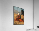 FA 25 2x3 896 Acrylic Print