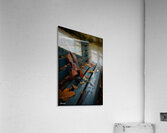FA 25 2x3 923 Acrylic Print