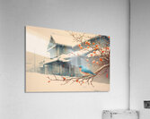 FA 25 2x3 947 Acrylic Print