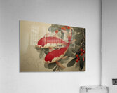 FA 25 2x3 976 Acrylic Print