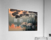 FA 25 2x3 954 Acrylic Print