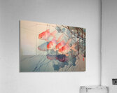 FA 25 2x3 971 Acrylic Print