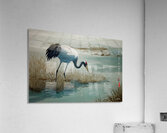 FA 25 2x3 978 Acrylic Print