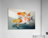 FA 25 2x3 942 Acrylic Print