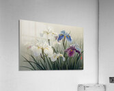 FA 25 2x3 990 Acrylic Print