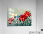 FA 25 2x3 939 Acrylic Print