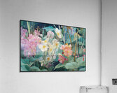 FA 25 2x3 924 Acrylic Print