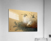 FA 25 2x3 983 Acrylic Print