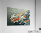 FA 25 2x3 987 Acrylic Print
