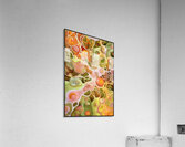 FA 25 2x3 992 Acrylic Print