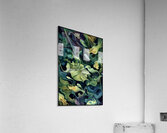 FA 25 2x3 1012 Acrylic Print