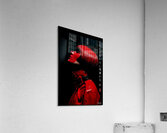 FA 25 2x3 1036 Acrylic Print