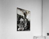 FA 25 2x3 1041 Acrylic Print
