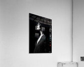 FA 25 2x3 1015 Acrylic Print