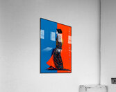 FA 25 2x3 1019 Acrylic Print