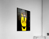 FA 25 2x3 1026 Acrylic Print