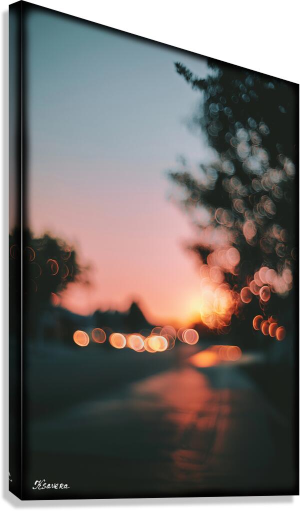 FA 25 2x3  267 Canvas Print