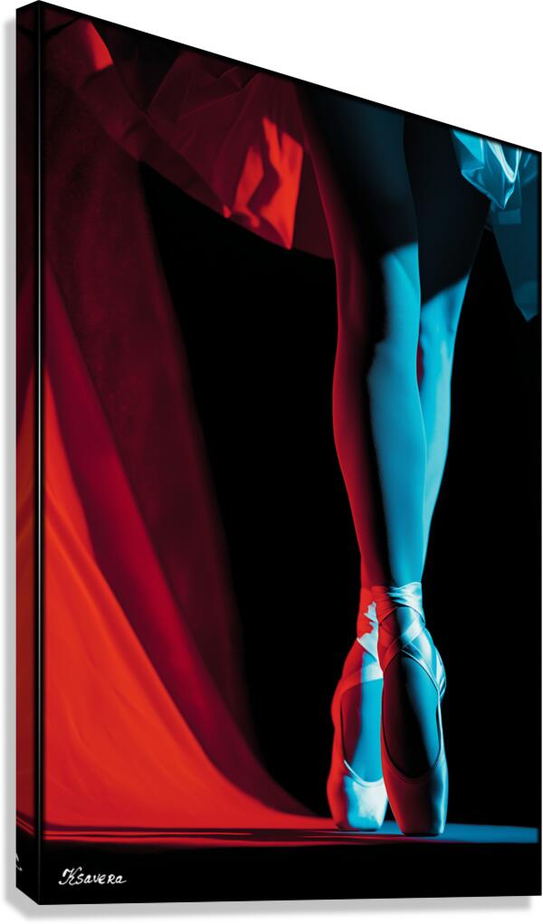 FA 25 2x3 732 Canvas Print