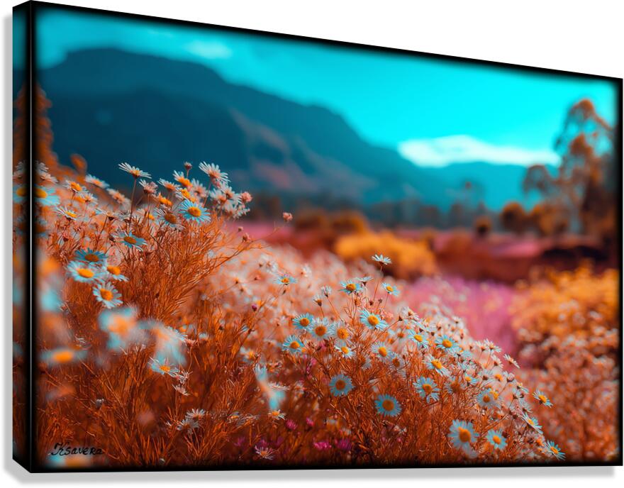 FA 25 2x3 691 Canvas Print