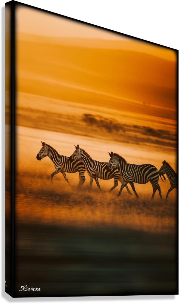 FA 25 2x3 753 Canvas Print