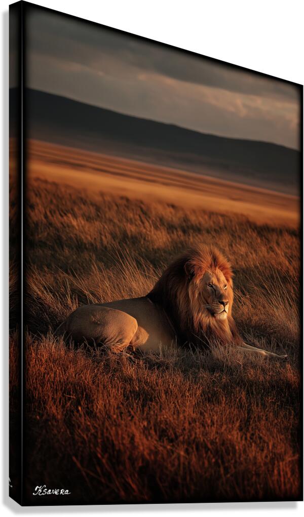 FA 25 2x3 704 Canvas Print