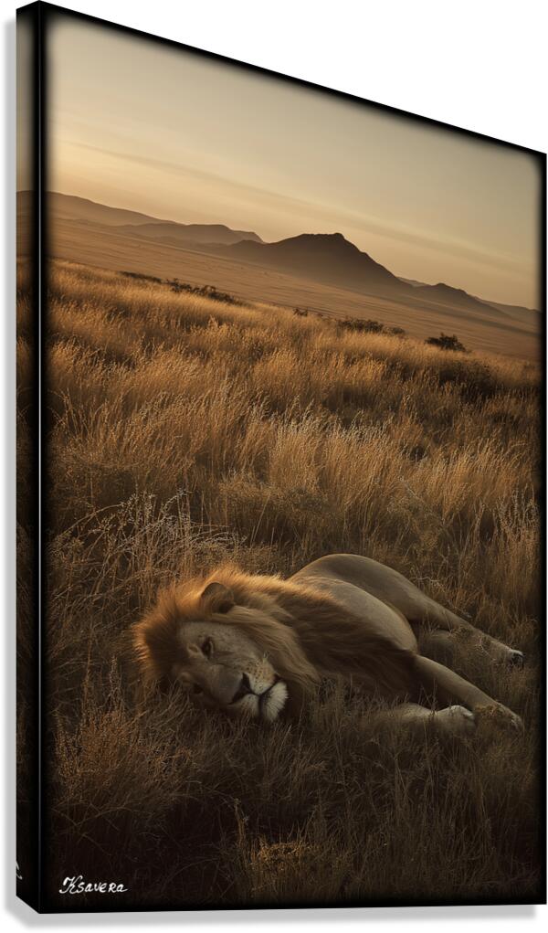 FA 25 2x3 712 Canvas Print