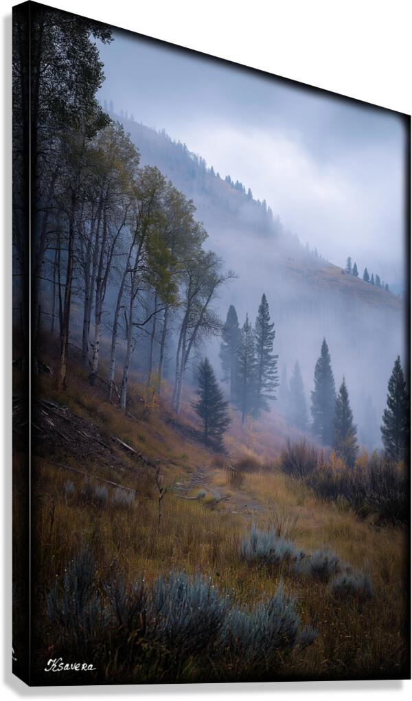 FA 25 2x3 812 Canvas Print