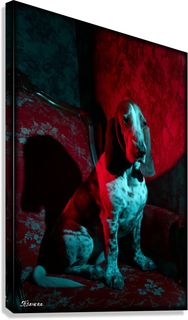 FA 25 2x3 791 Canvas Print