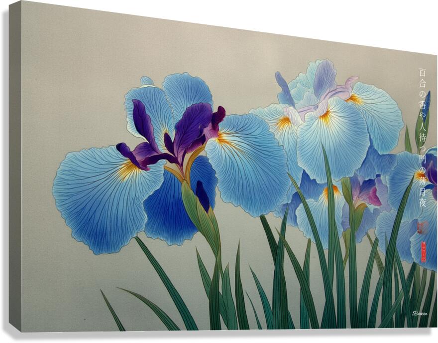 FA 25 2x3 944 Canvas Print