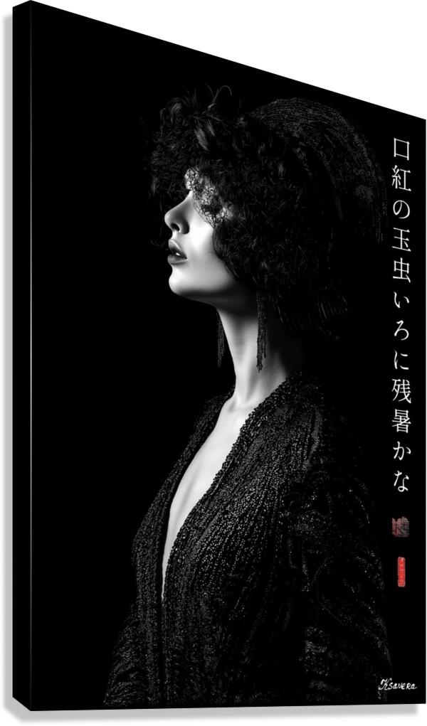 FA 25 2x3 1015 Canvas Print
