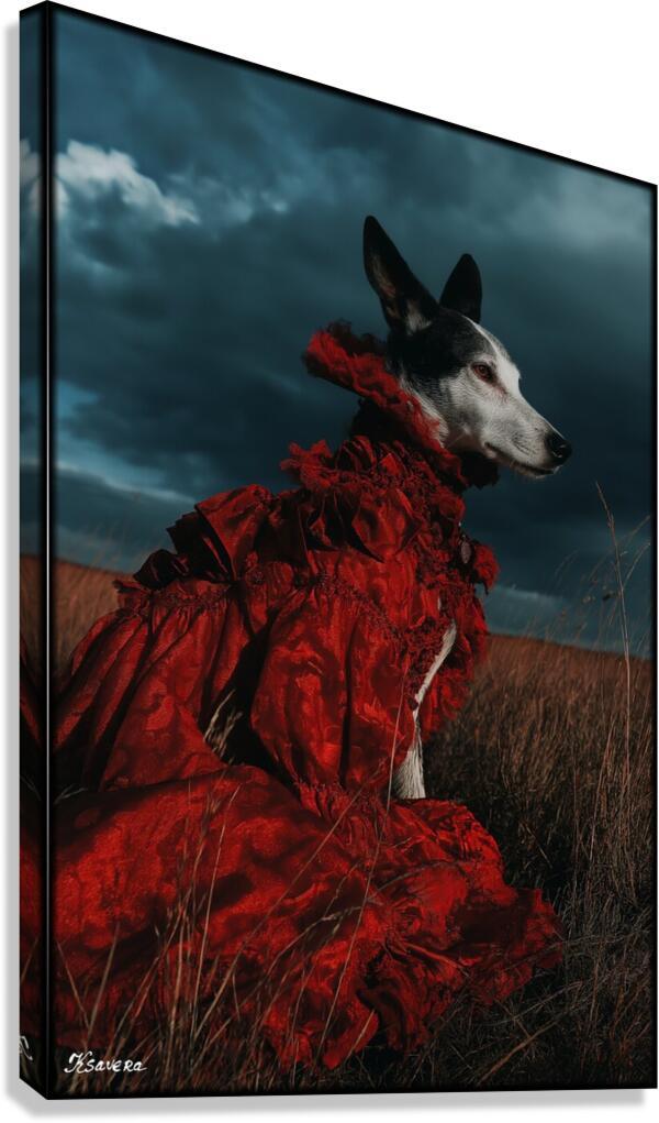 FA 25 2x3 1076 Canvas Print