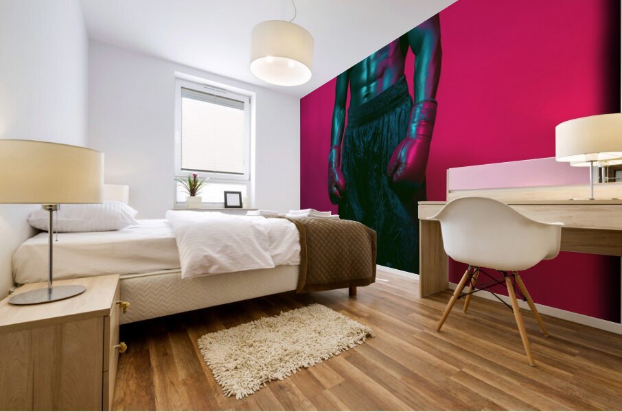 Boxer FA 25 2x3  319 Mural print