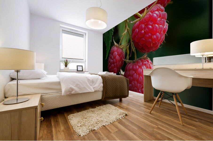 Raspberry FA 25 2x3 594 Mural print
