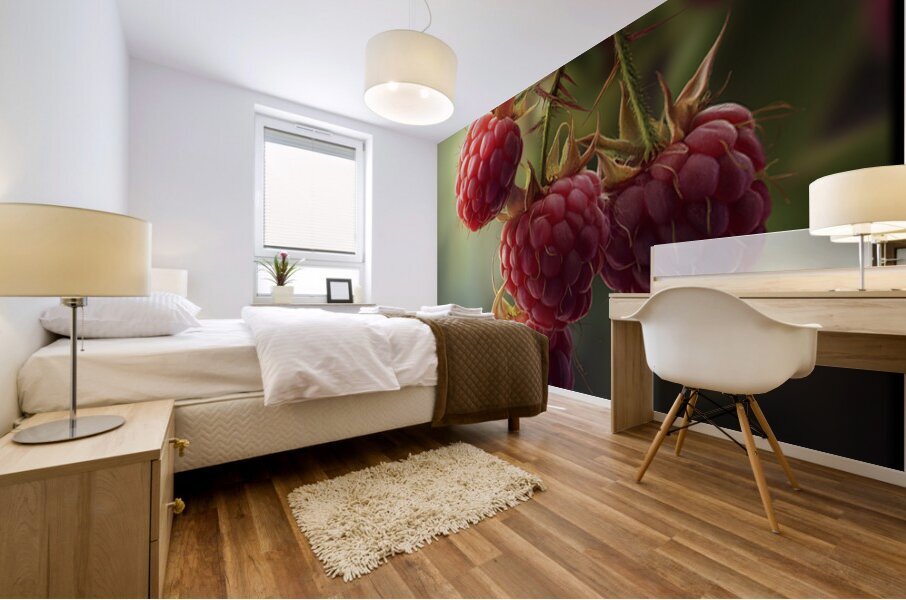 Raspberry FA 25 2x3 592 Mural print