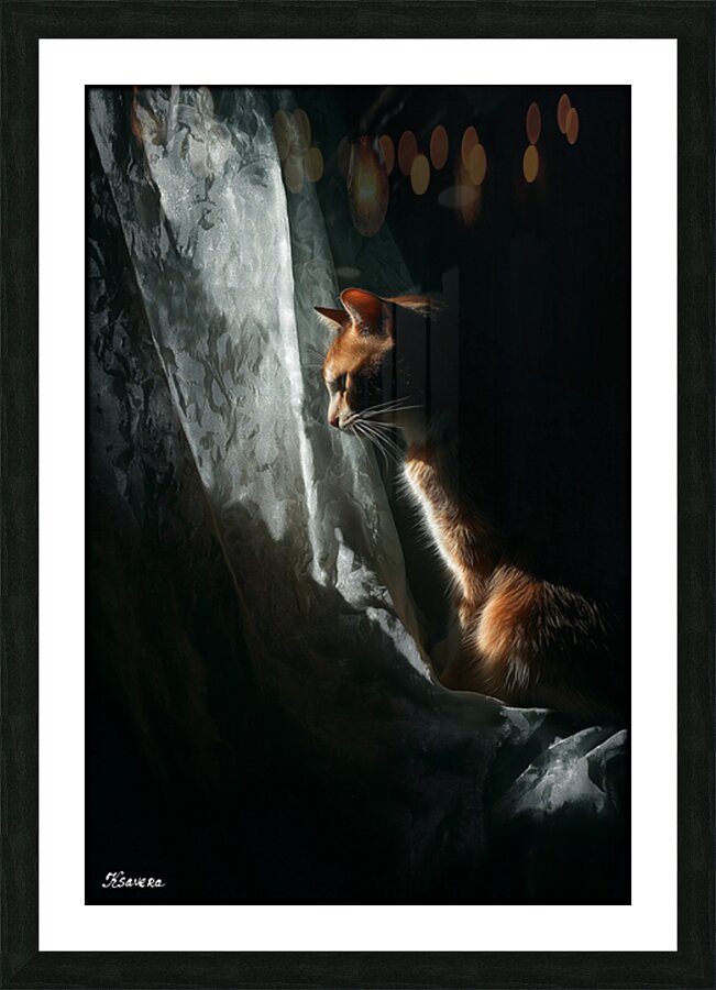 GINGER CAT FA 25 2x3 556 Picture Frame print